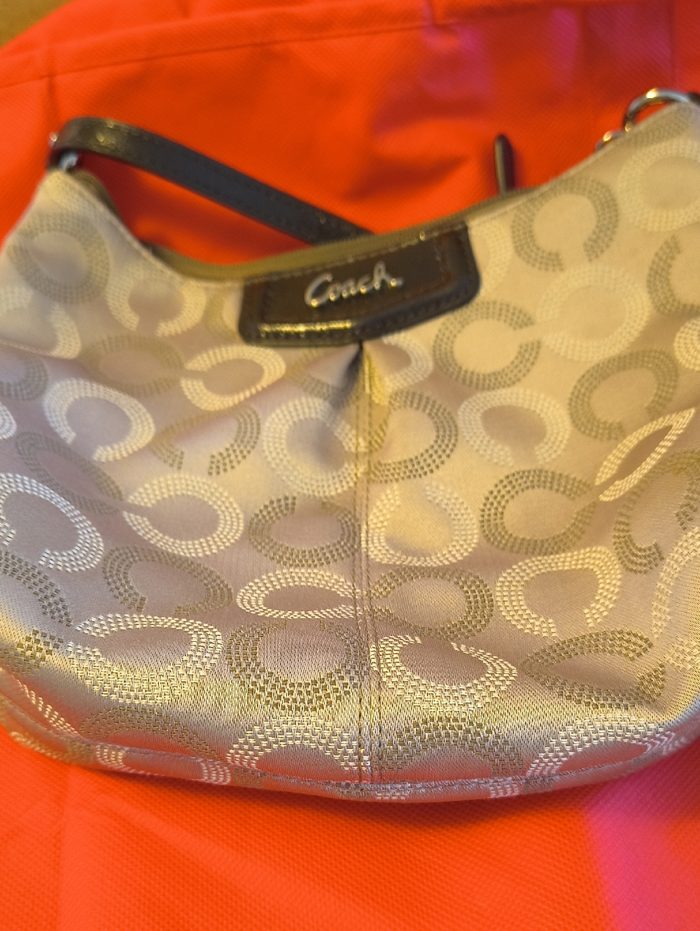Coach Ashley Crossbody Bag